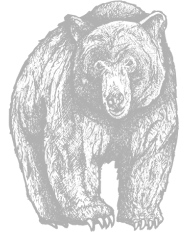Grizzly Bear - Out of House Art Department - Web Design and Development